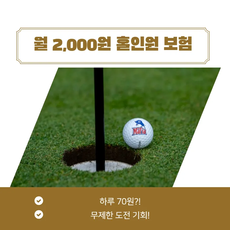 김국진 홀인원 보험 대표 이미지